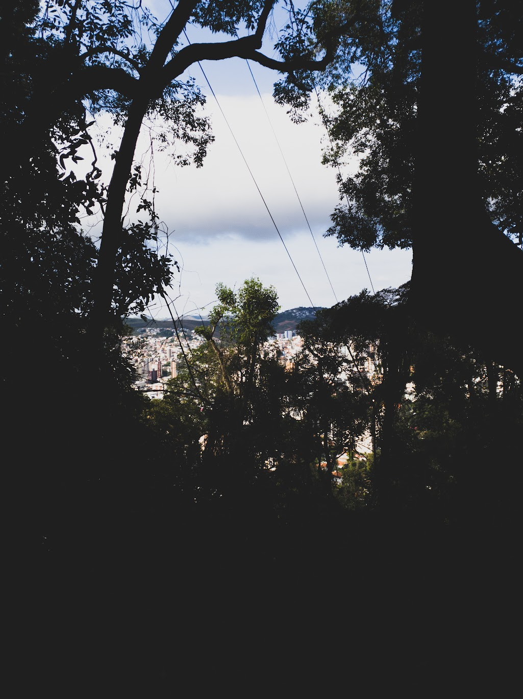 2026-05-15_05-50-07_screenshot.png