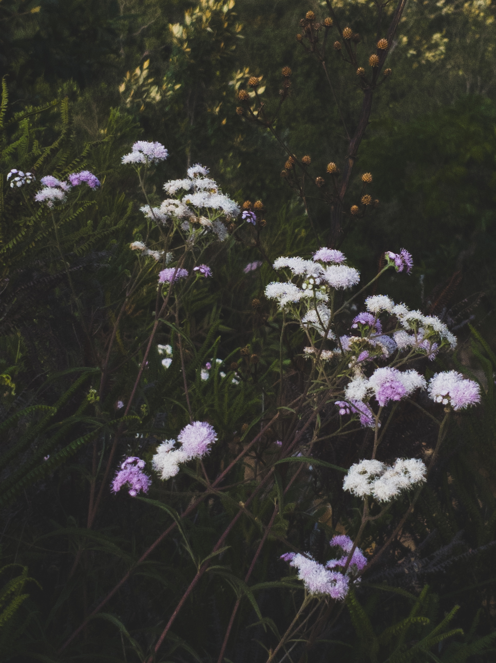 2026-05-15_05-51-37_screenshot.png
